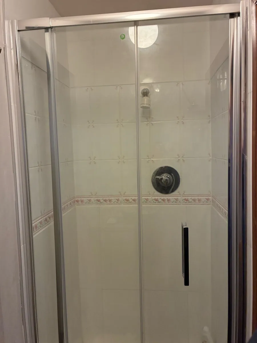 Shower Door - Image 1