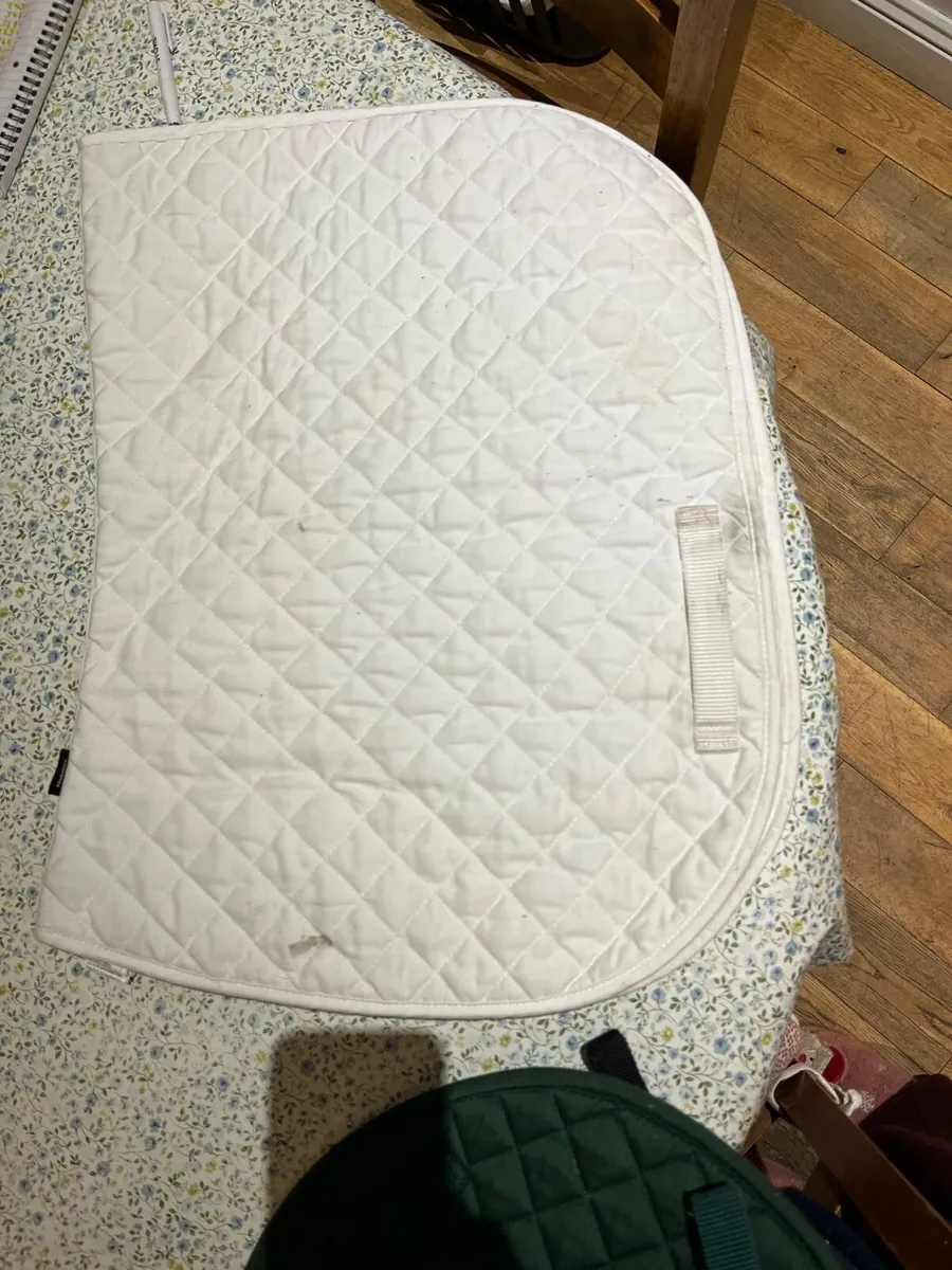 Horse tack - Image 4