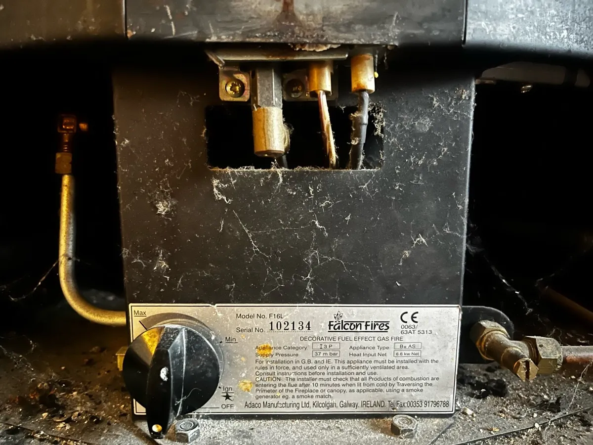 Gas Fire - Image 2