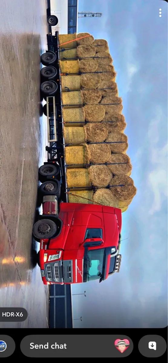 Haulage transport 45 flat trailer straw for sale - Image 1
