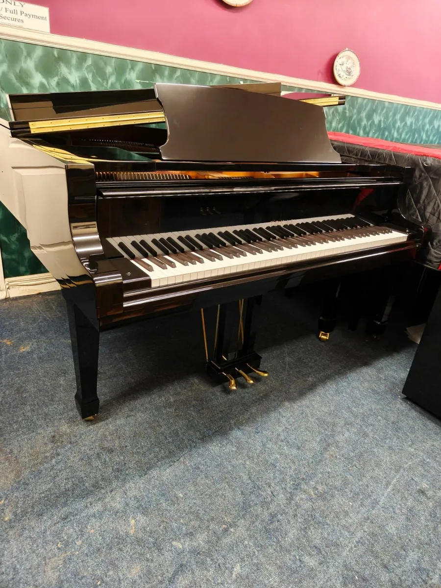 Black Baby Grand Concert/Recital Standard - Image 2
