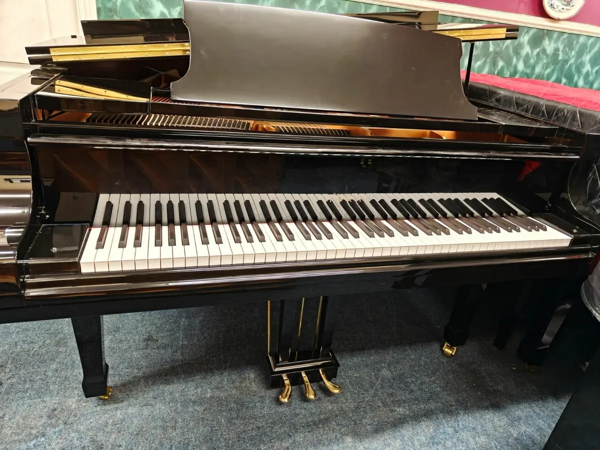 Black Baby Grand Concert/Recital Standard - Image 1