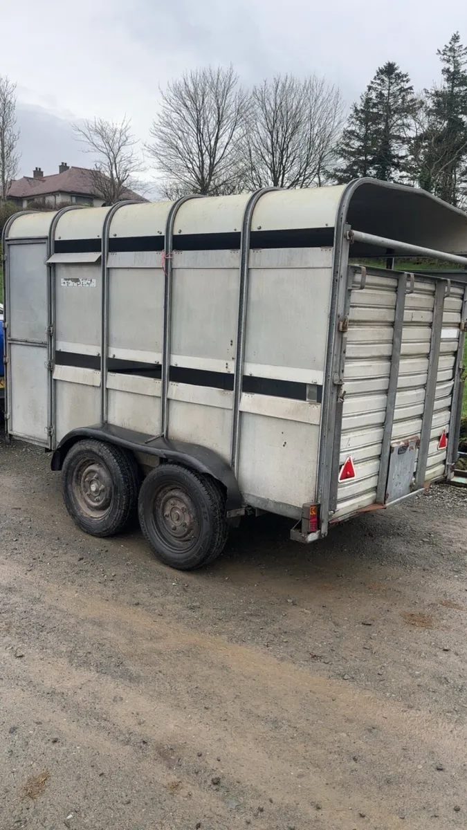Ifor Williams 10/6 cattle trailer - Image 1