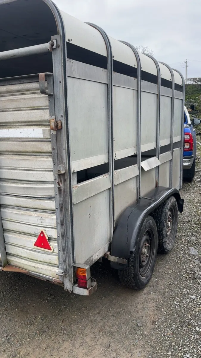 Ifor Williams 10/6 cattle trailer - Image 3