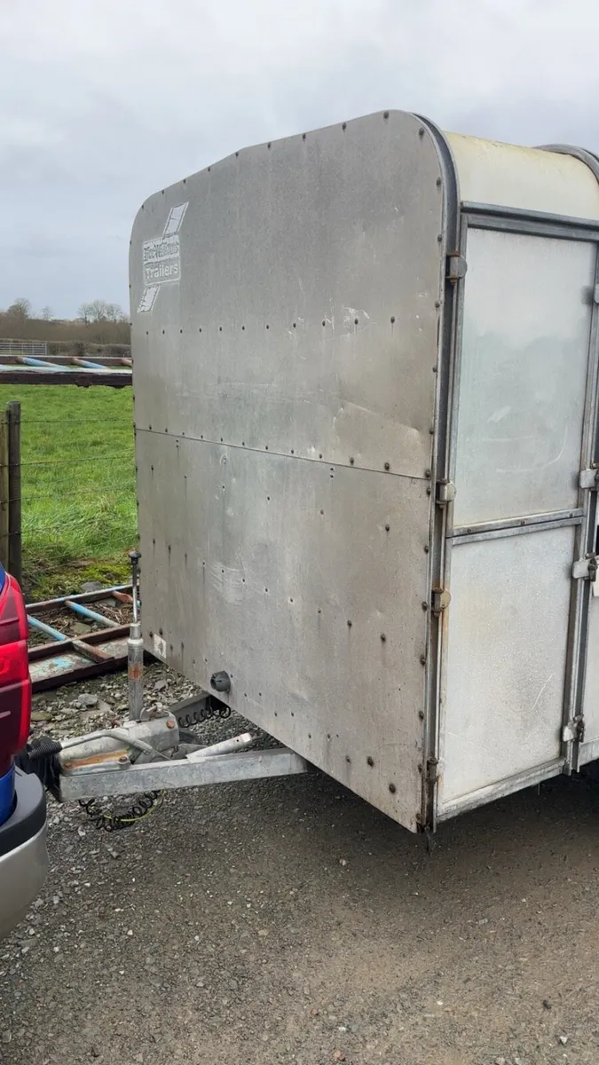 Ifor Williams 10/6 cattle trailer - Image 4