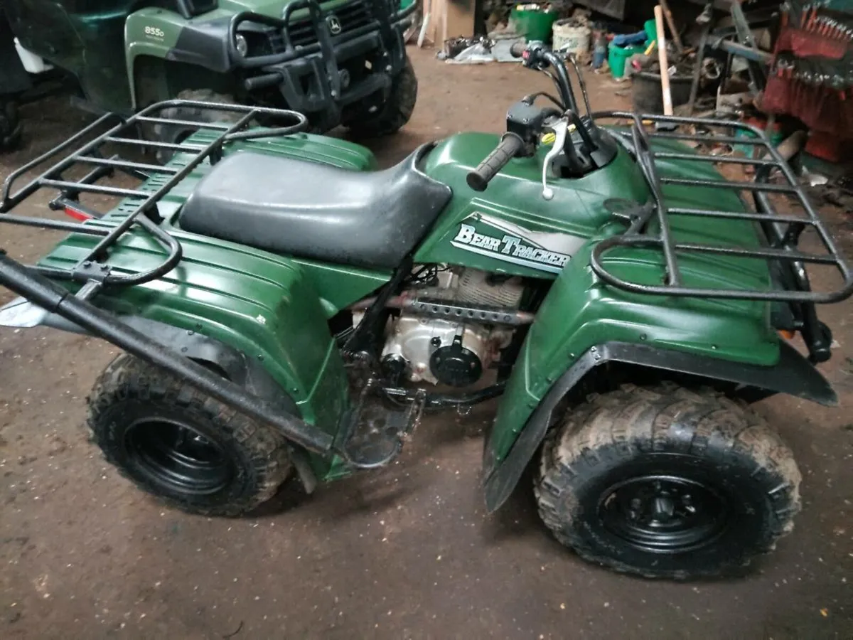 Yamaha bear tracker 250 - Image 1