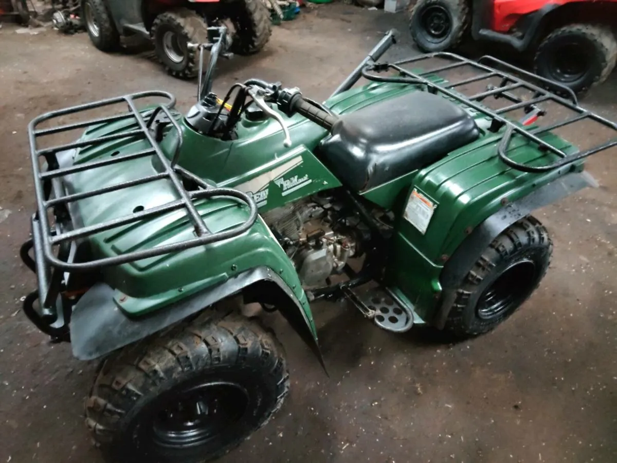 Yamaha bear tracker 250 - Image 2