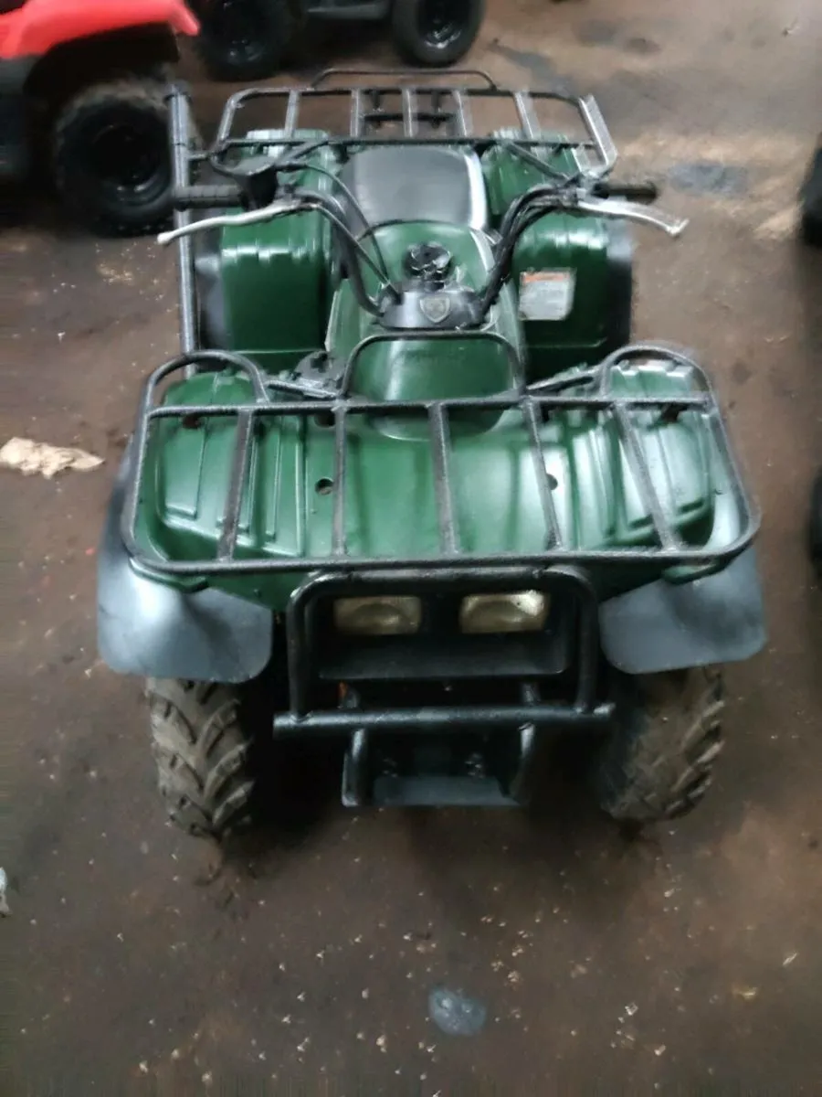 Yamaha bear tracker 250 - Image 4