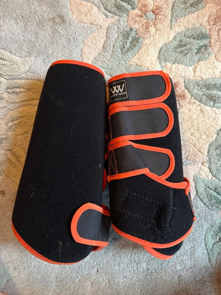 Back protector, 2 pairs chaps, dressage wrap - Image 1