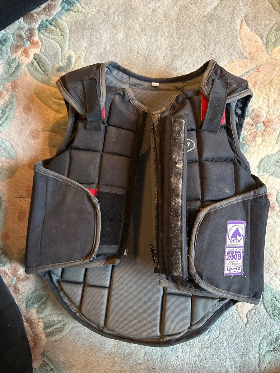 Back protector, 2 pairs chaps, dressage wrap - Image 2