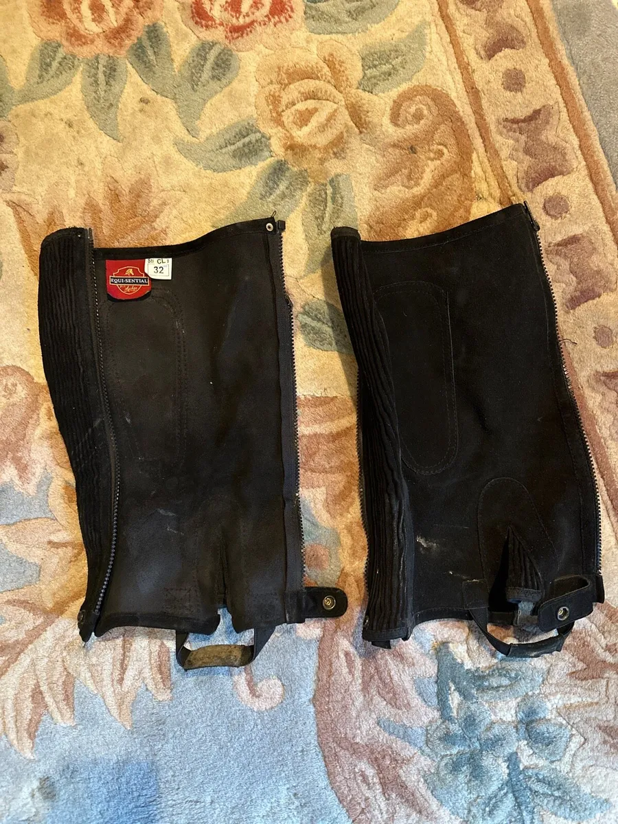 Back protector, 2 pairs chaps, dressage wrap - Image 3