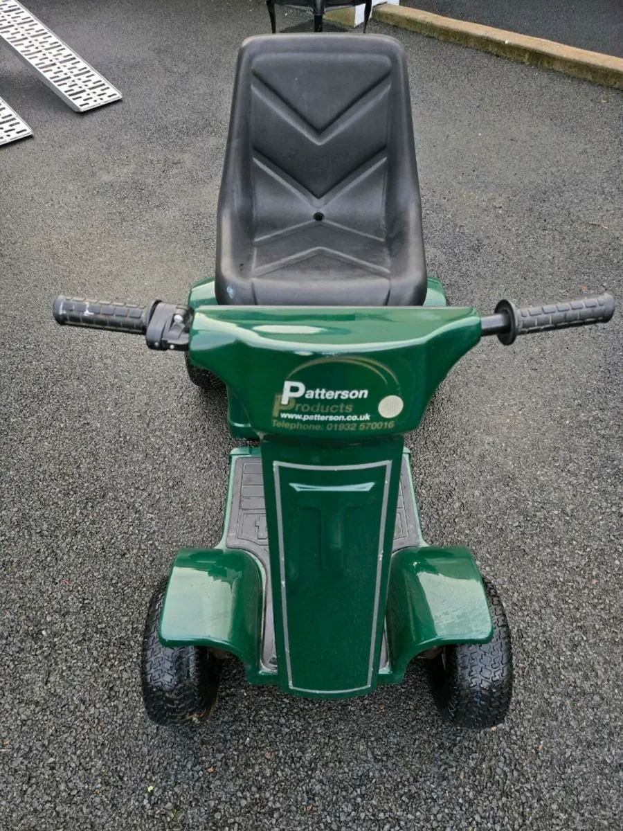 Golf Buggy - Image 2