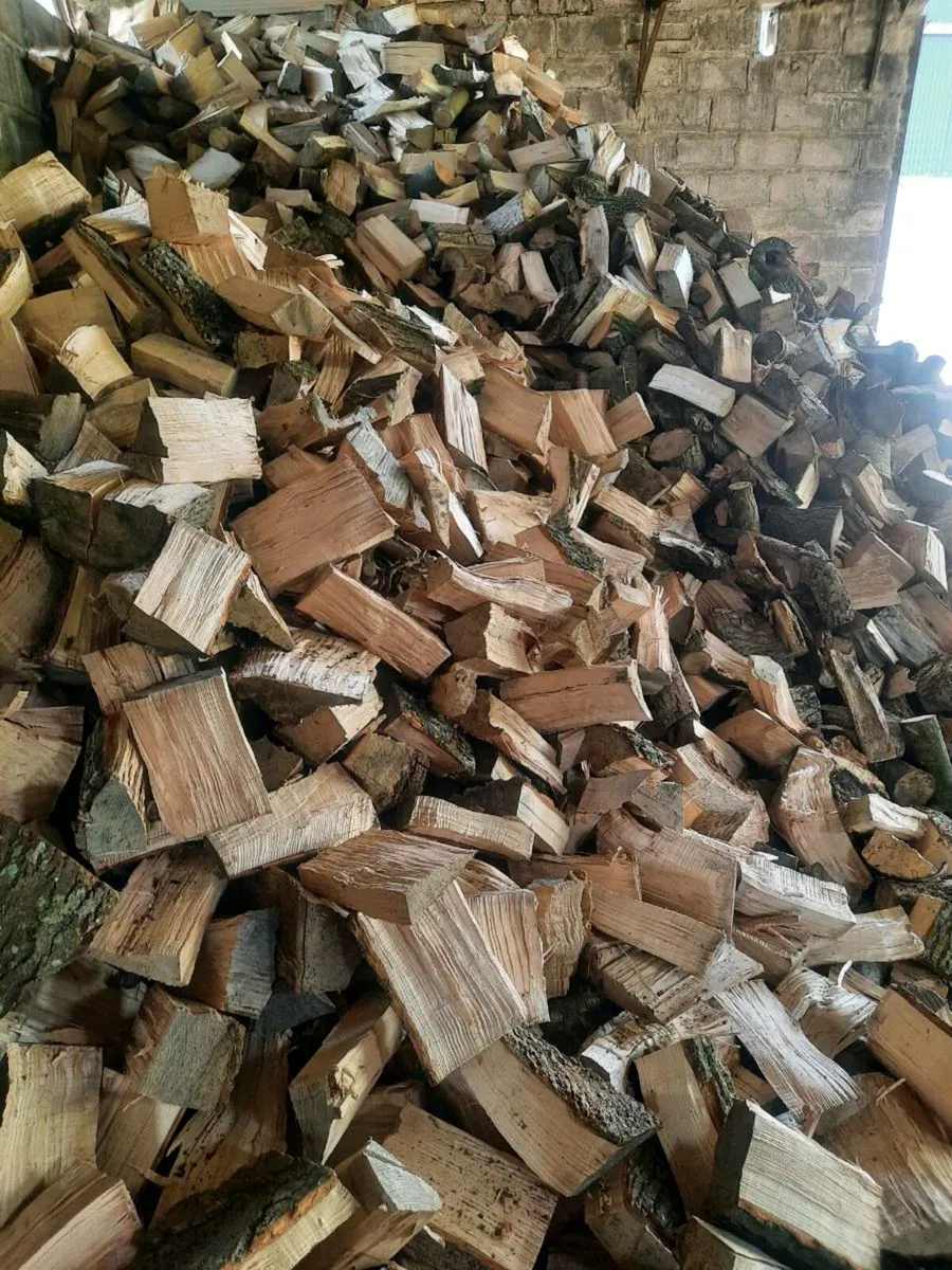 Firewood - Image 1