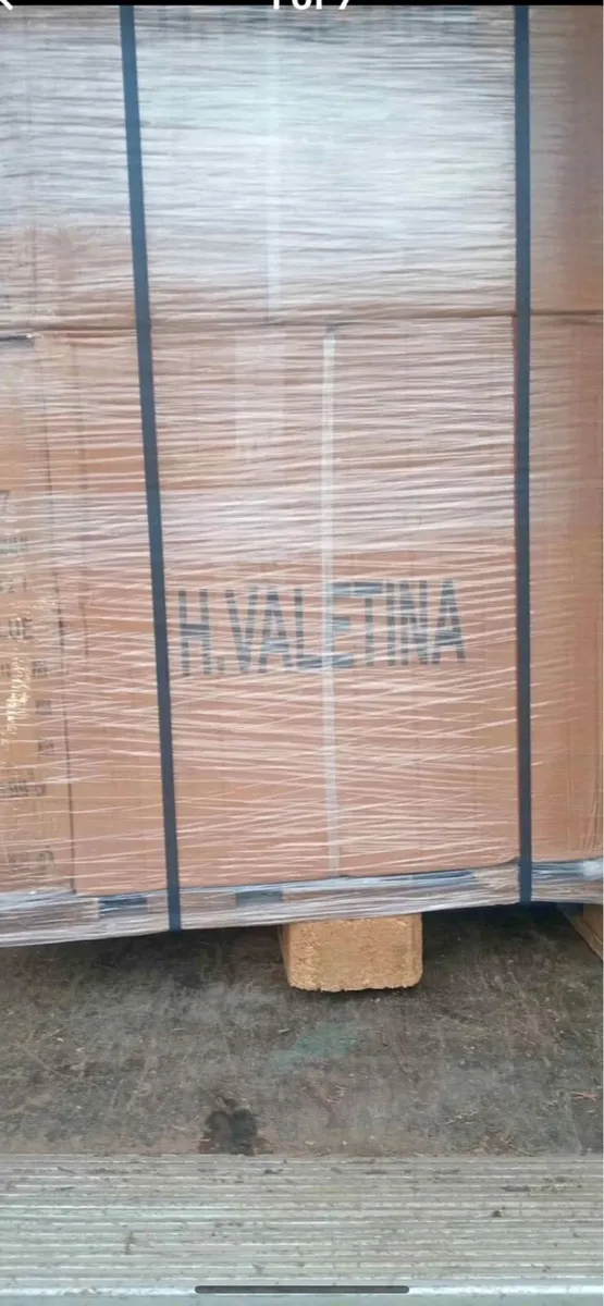 Job lot of men’s & women’s shoes - Image 1