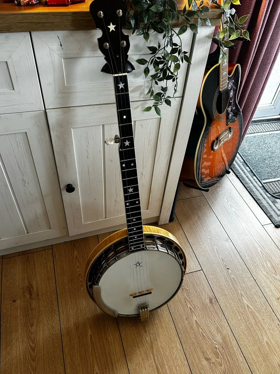5 String Sully banjo - Image 1