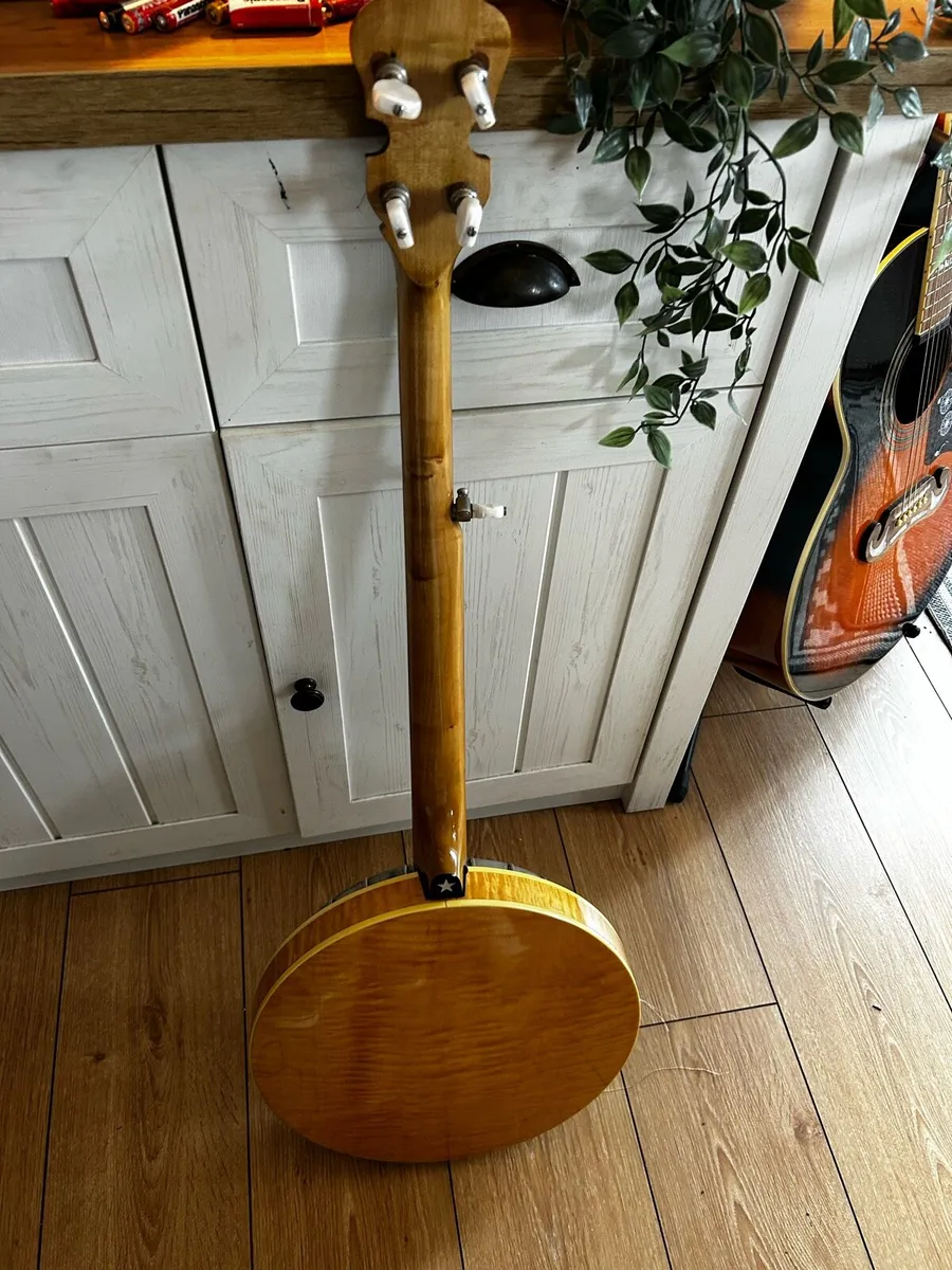 5 String Sully banjo - Image 3