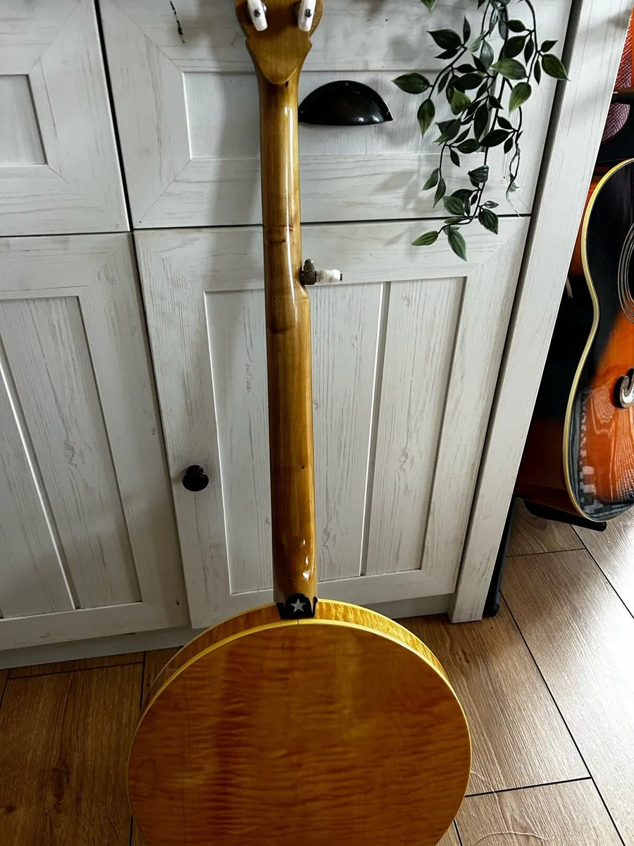 5 String Sully banjo - Image 4