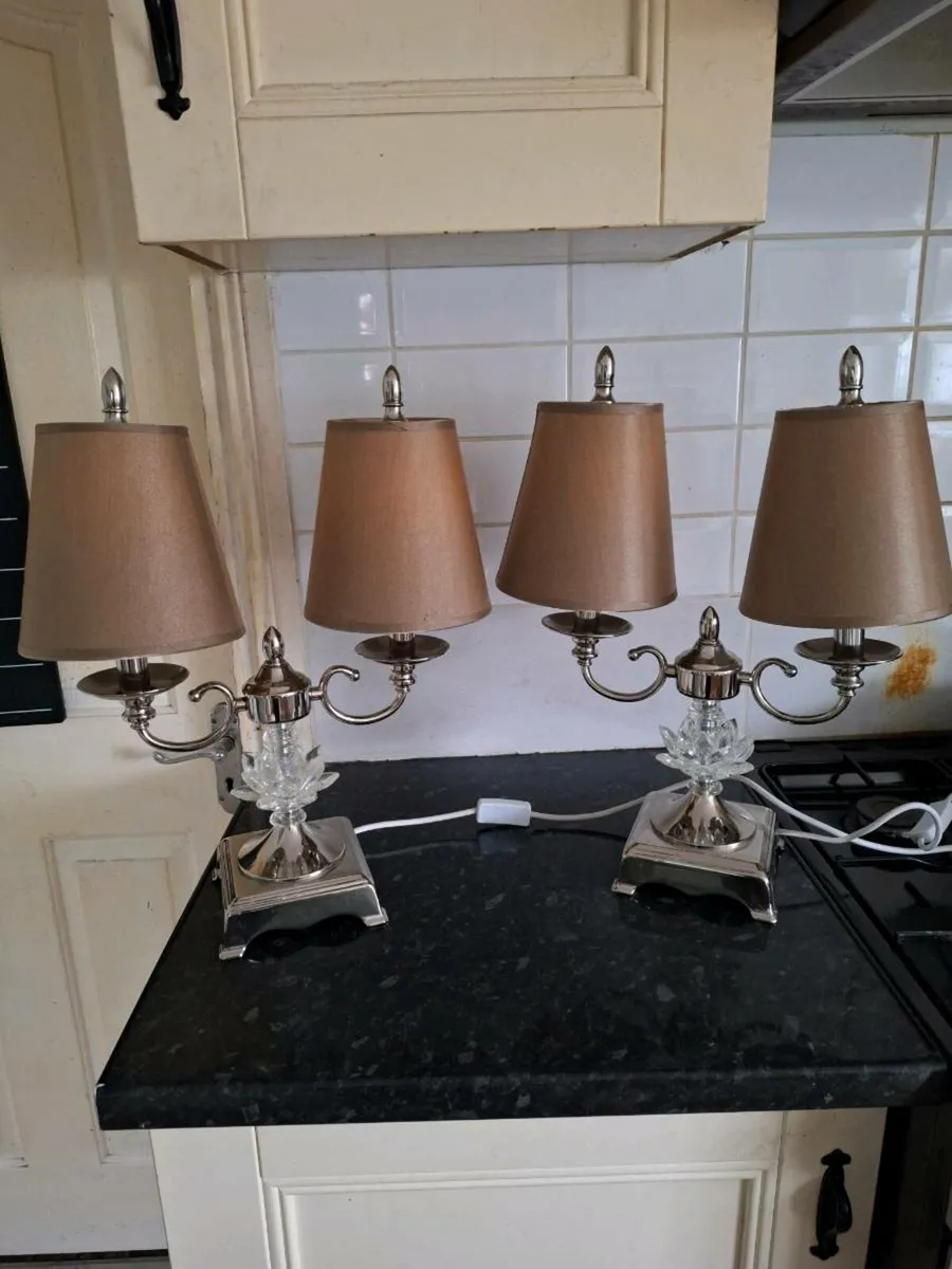 Beautiful pair of twin arm table lamps - Image 1