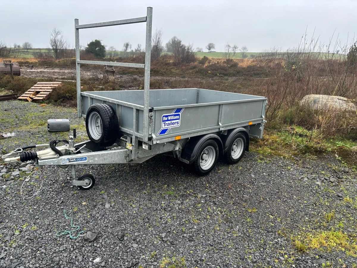 Two 8x5 builders trailers - Image 2