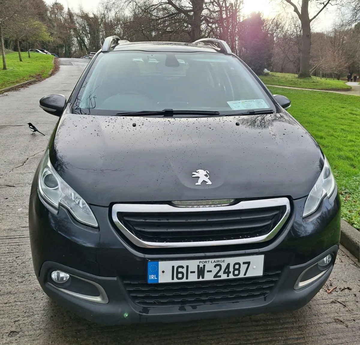 PEUGEOT 2008 . Only €5555. FRESH NCT.  NEW TB 2024 - Image 2