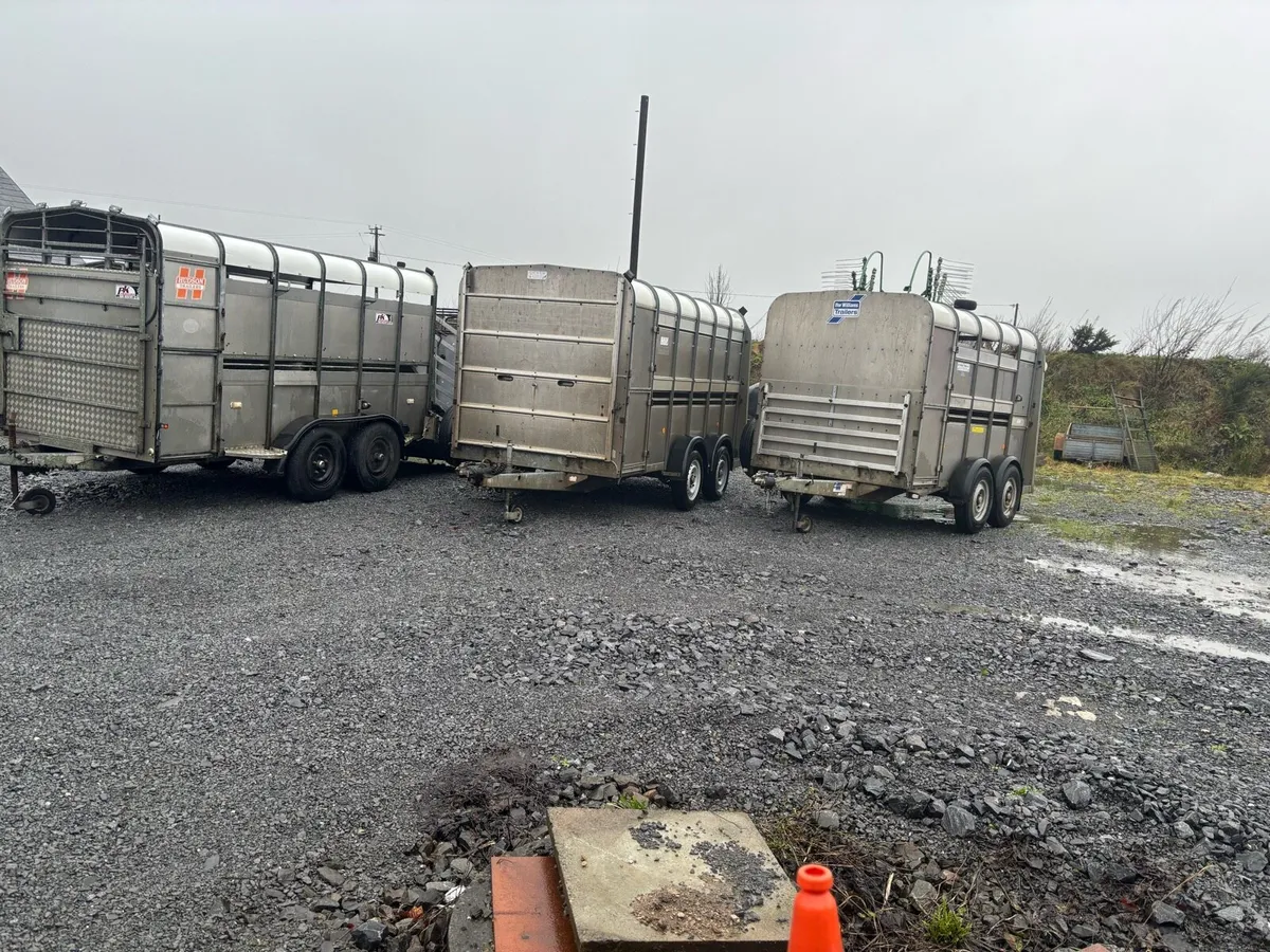 Selection of 10/12 ft IW livestock trailers - Image 1