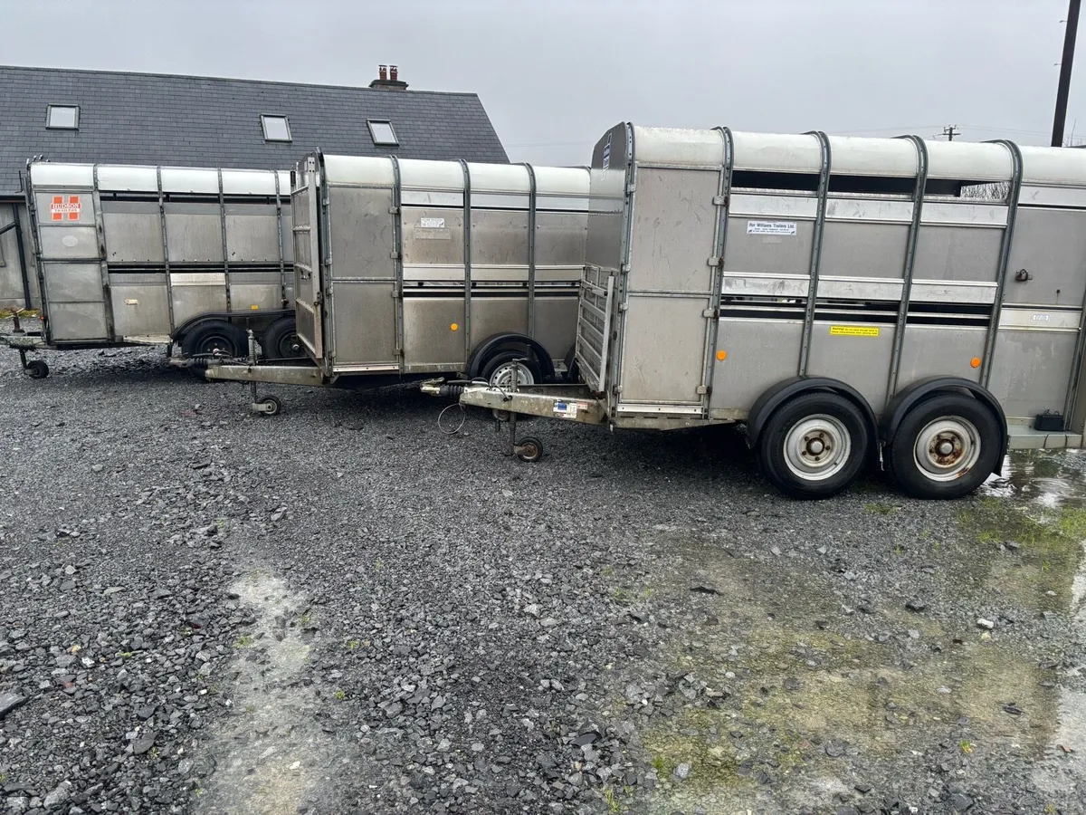 Selection of 10/12 ft IW livestock trailers - Image 2