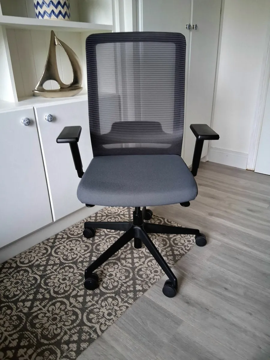 Ergonomic Office Chair - Image 1