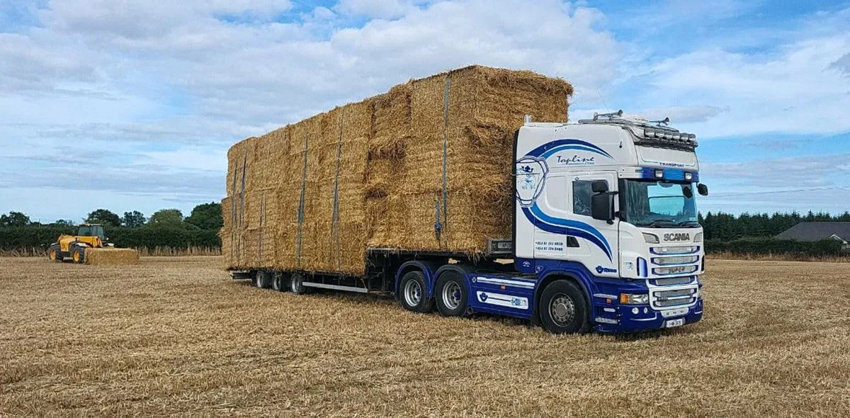 8/4/3 Barley and wheaten straw - Image 2