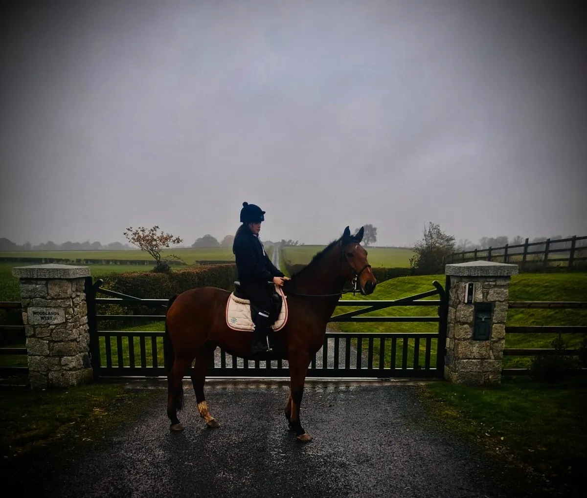 6 yr old ISH - Image 1