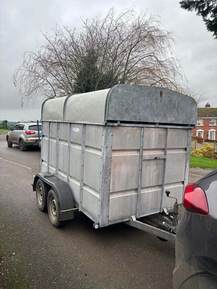 8 x 5 Murphy’s Cattle trailer - Image 1