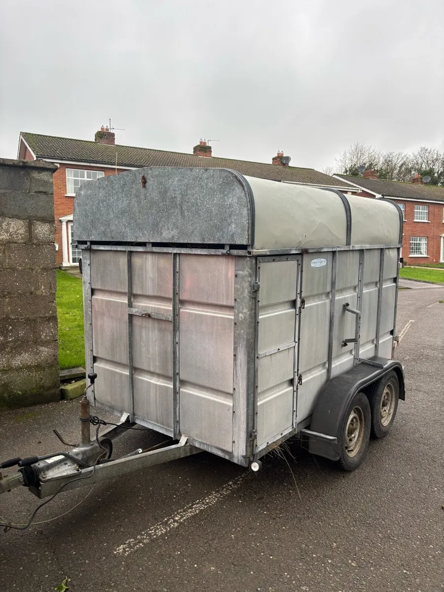 8 x 5 Murphy’s Cattle trailer - Image 2