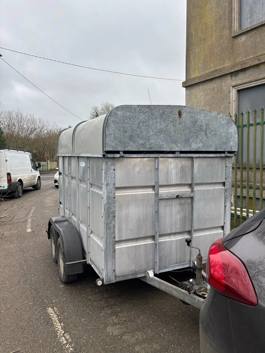 8 x 5 Murphy’s Cattle trailer - Image 4