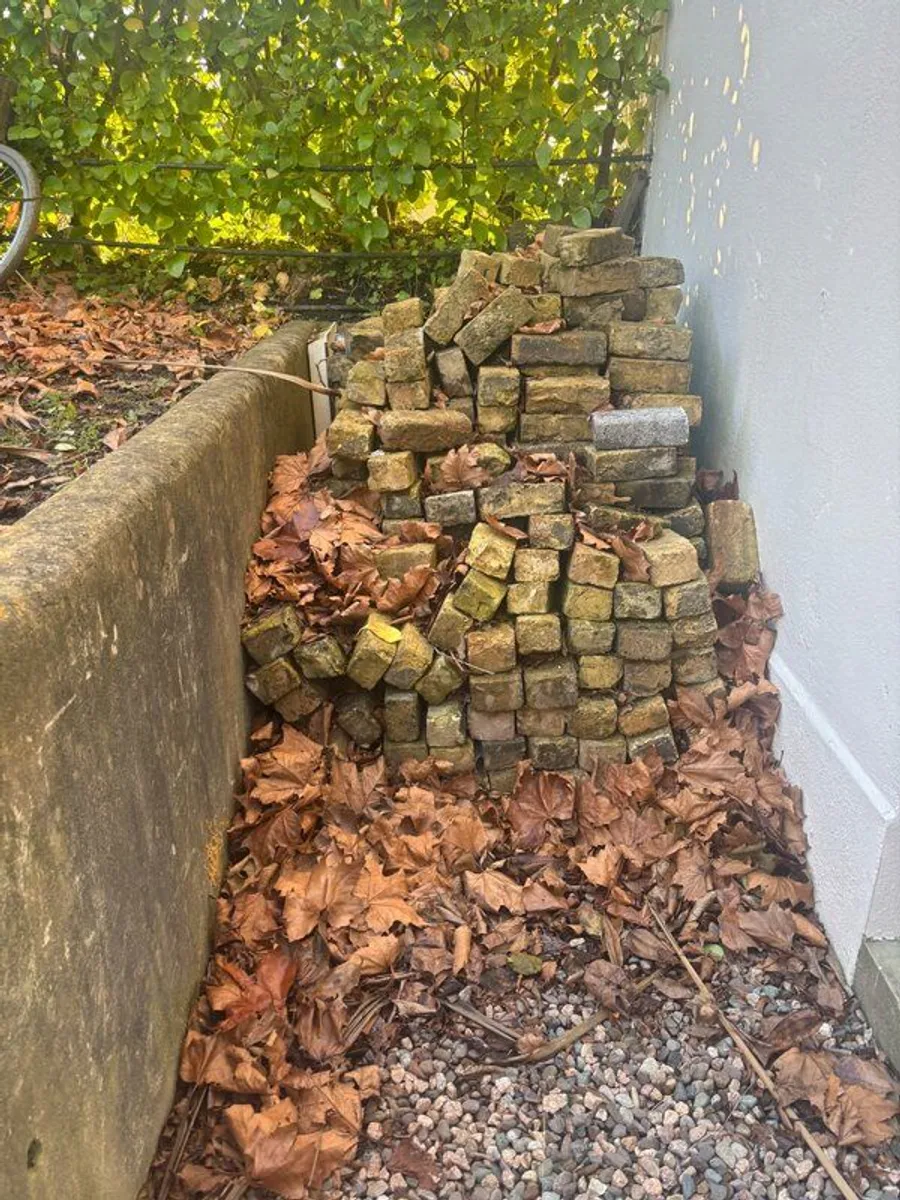 Salvaged Bricks - Image 1
