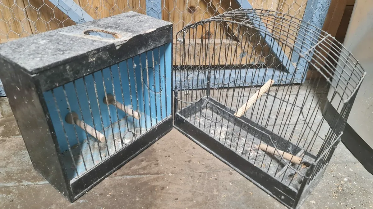 small cages - Image 2