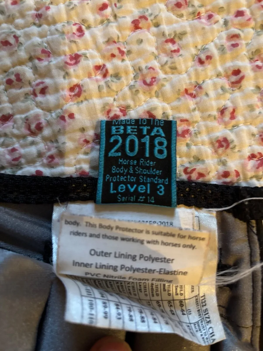 Back protector - Image 4