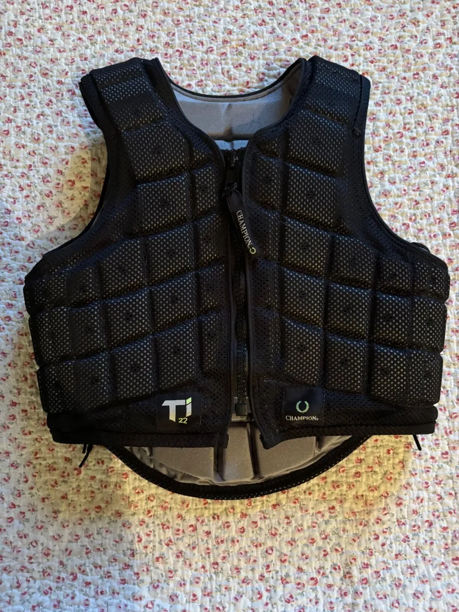 Back protector - Image 1