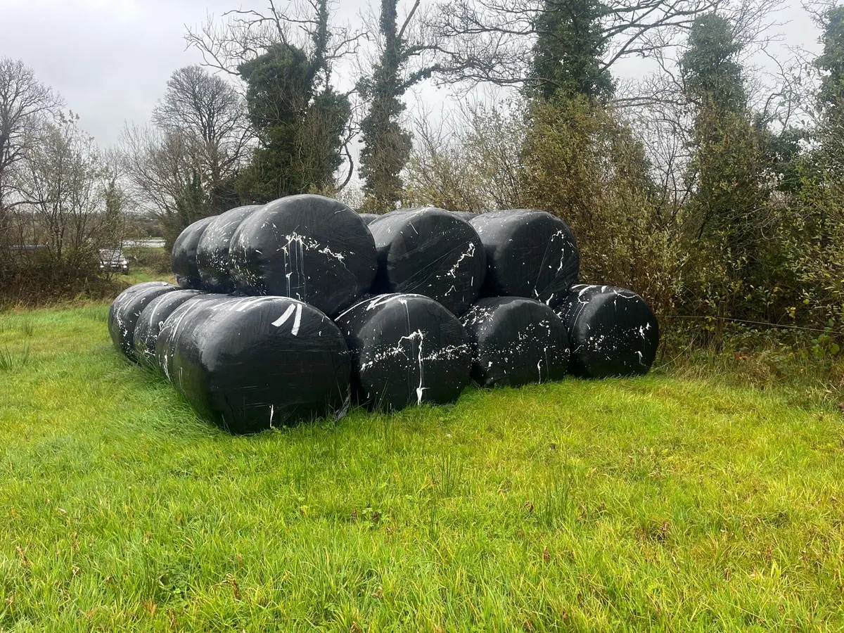 33 First cut silage a double wrapped - Image 1