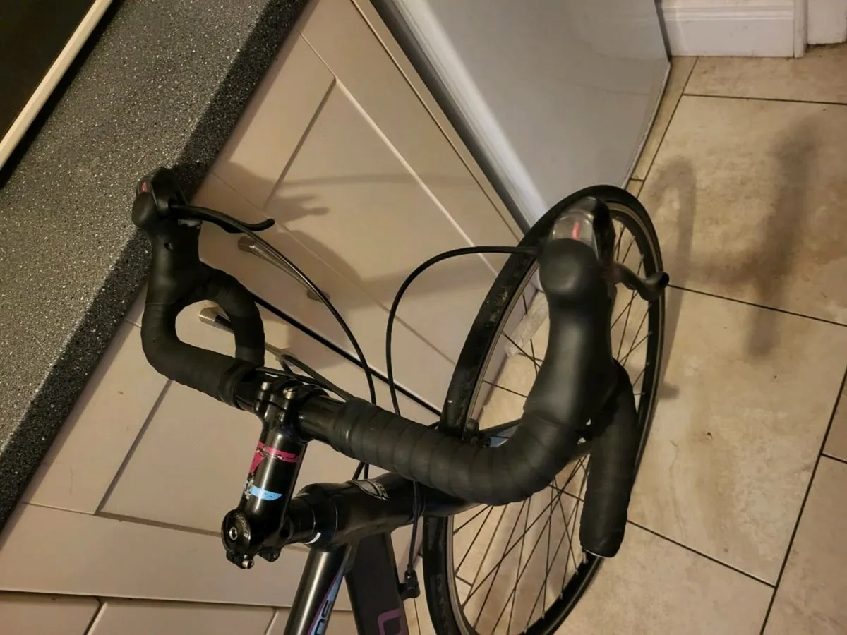 Bike carrera - Image 4