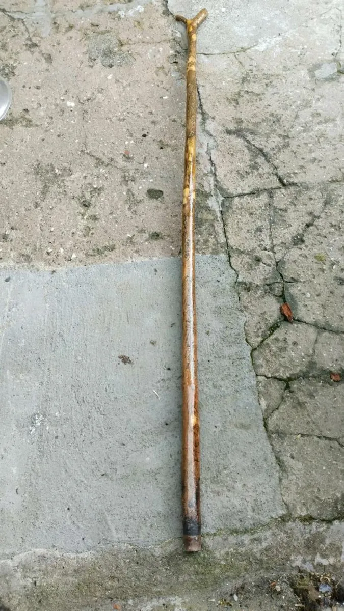 HOLLY Rambling Staff - Image 1