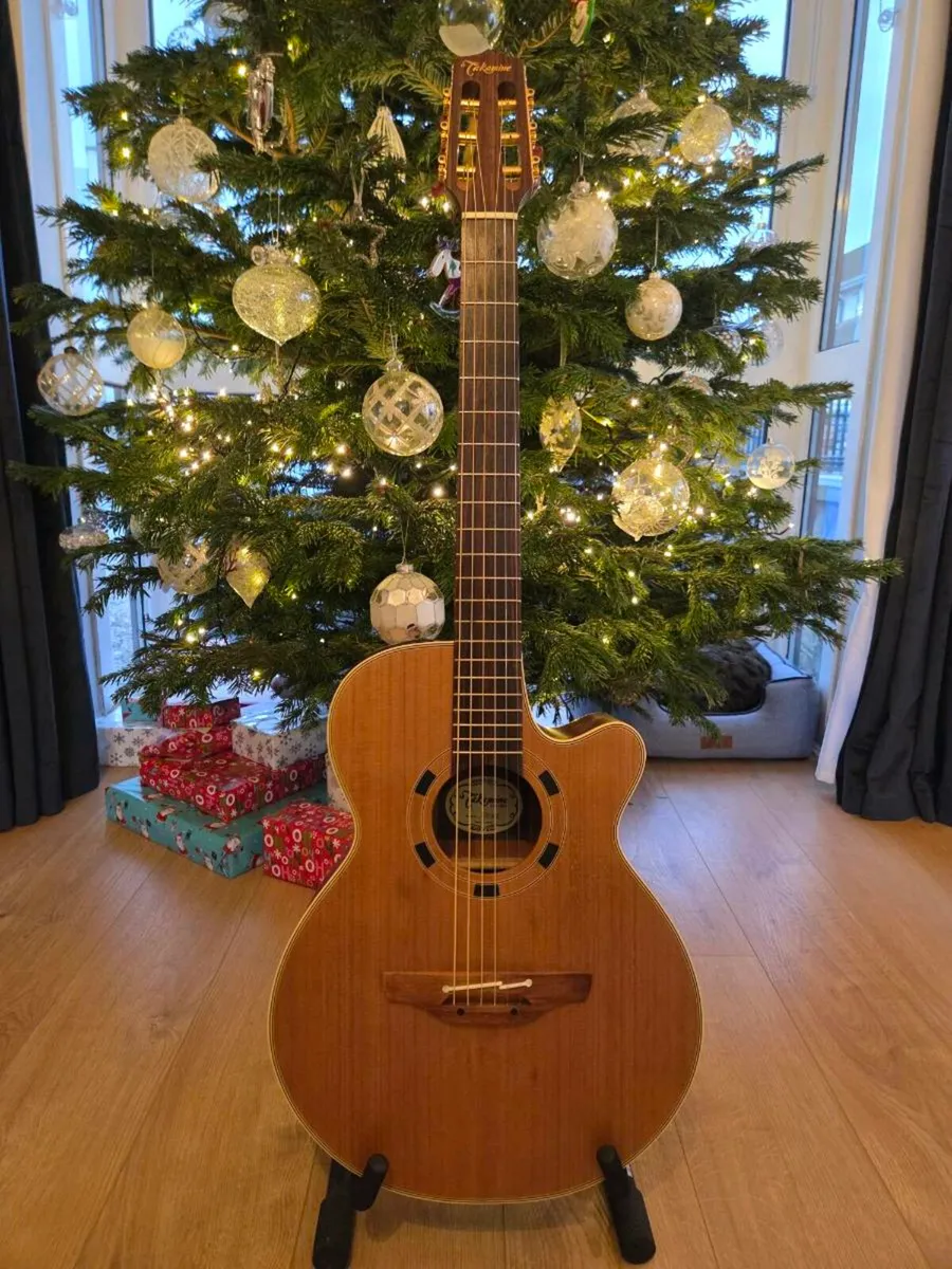 Takamine EN30C - Image 1