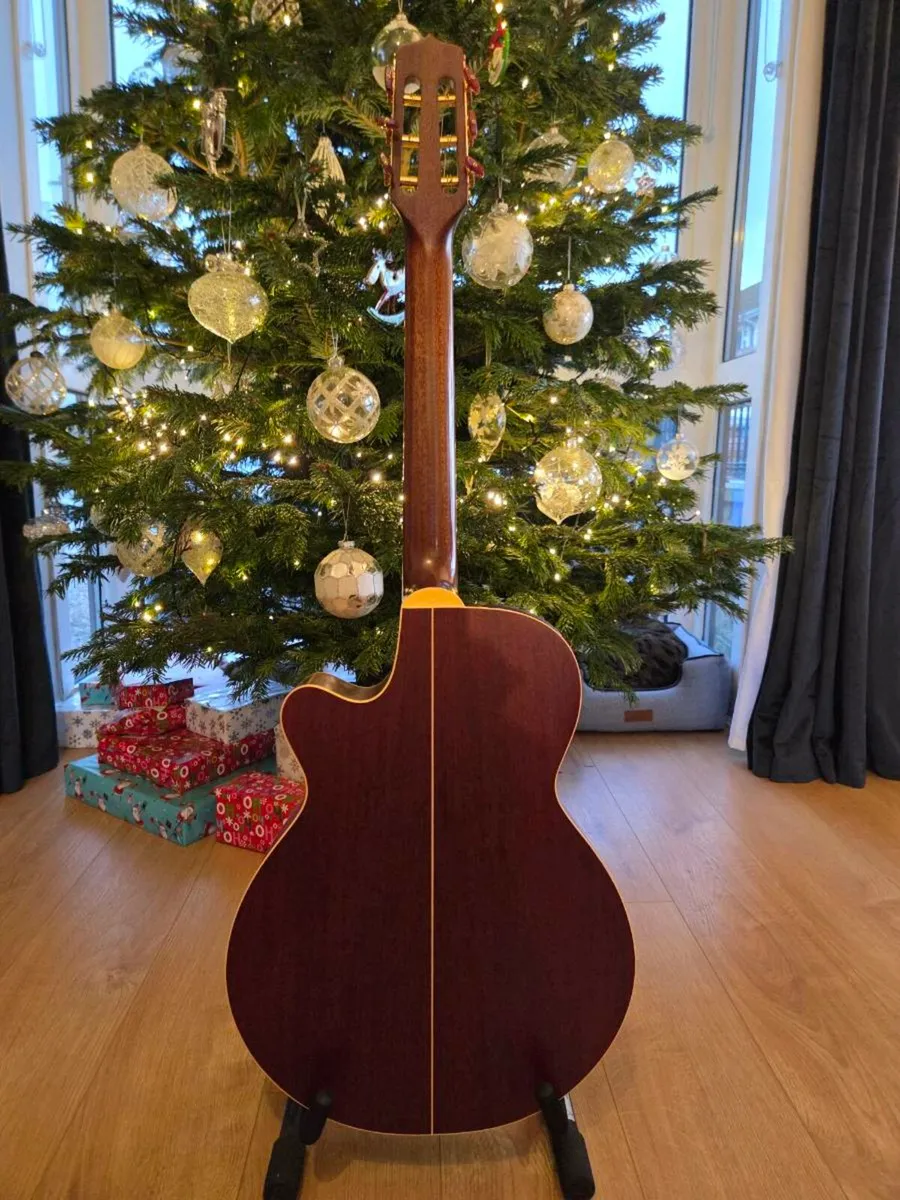 Takamine EN30C - Image 2