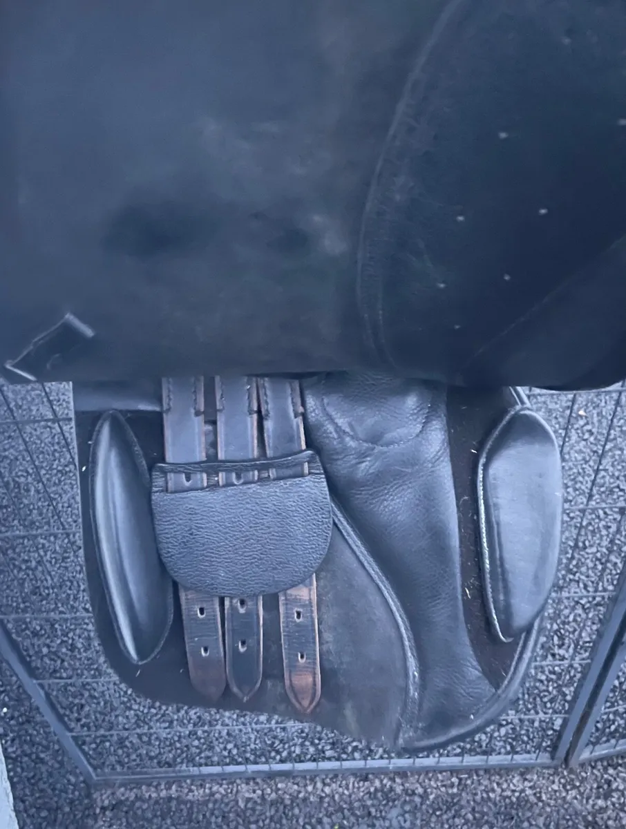 17 inch saddle - Image 3