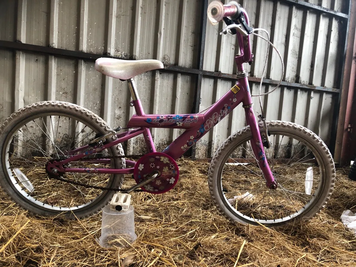 Go Karts and Bicycles - Image 4