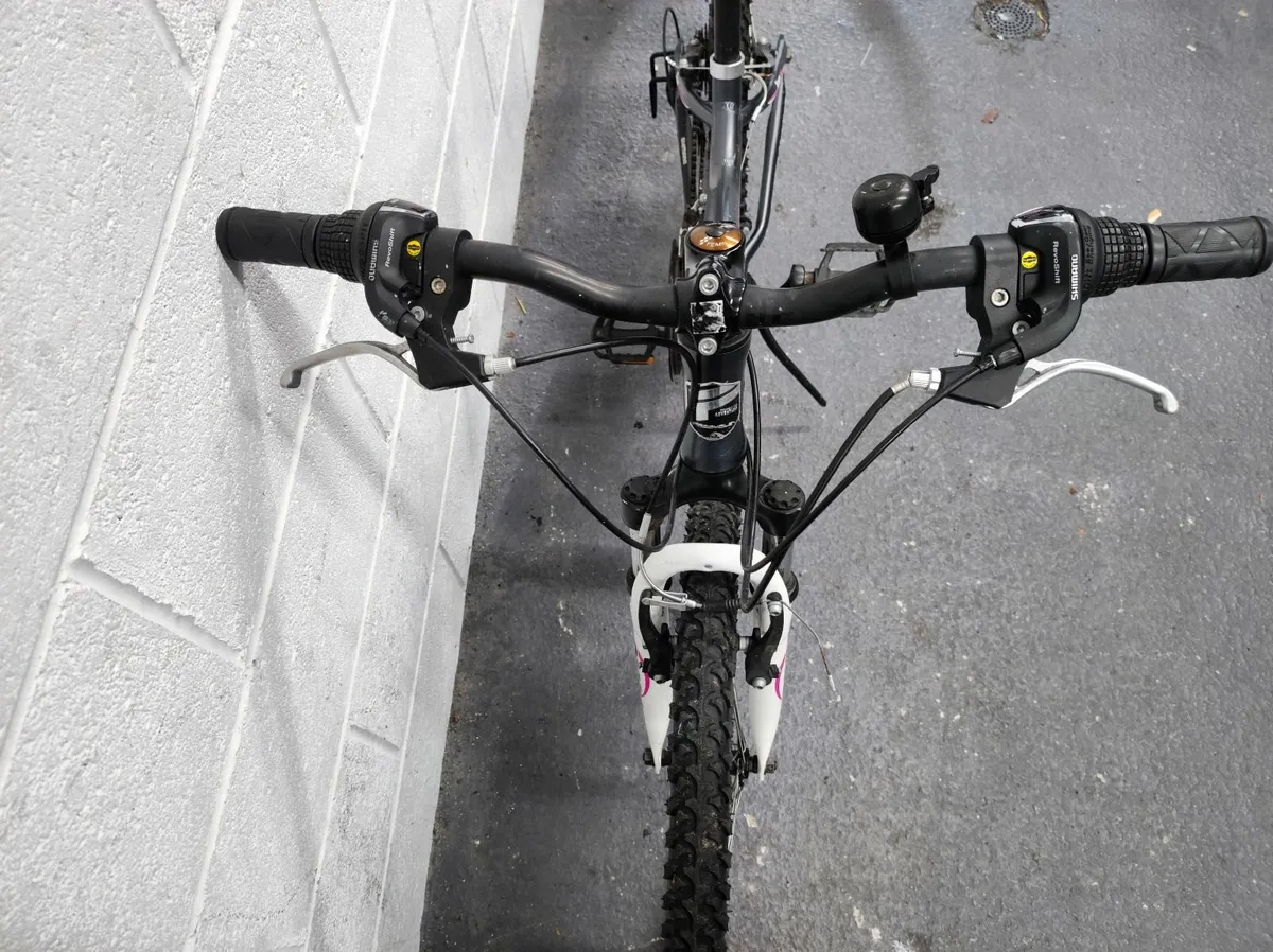 PROCYCLE VENUS Bike - Image 4