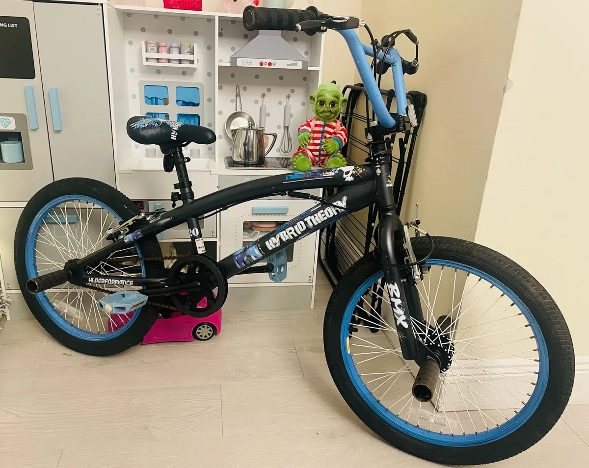 BMX hybrid theory - Image 1