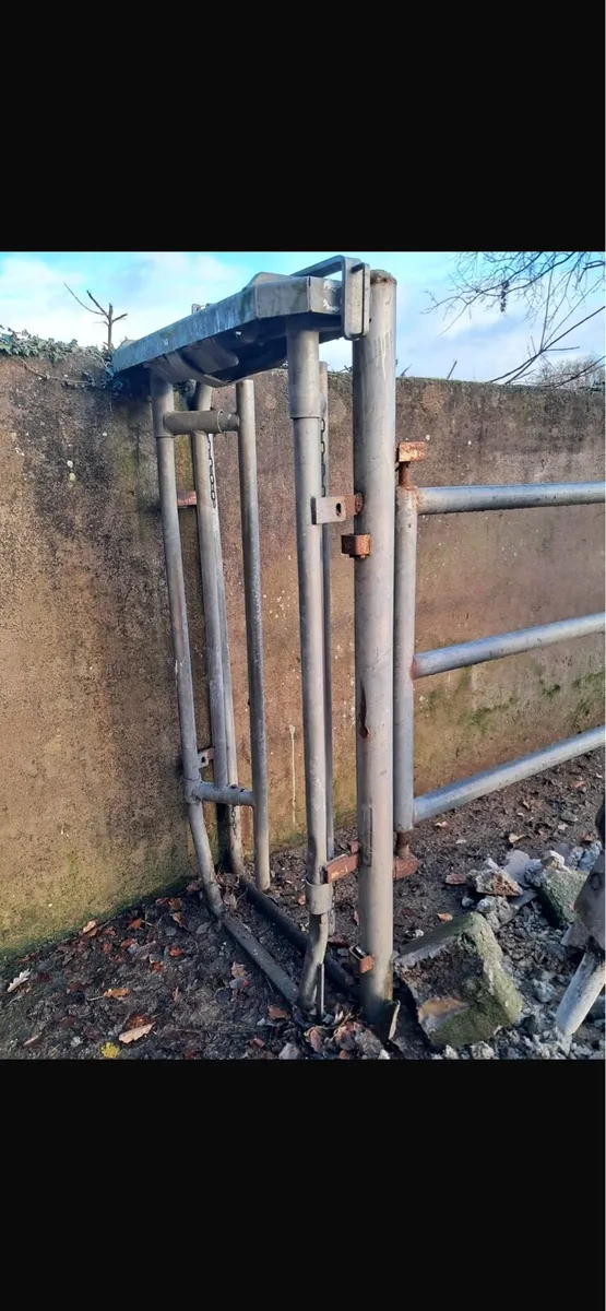 Head Bale Crush - Image 1