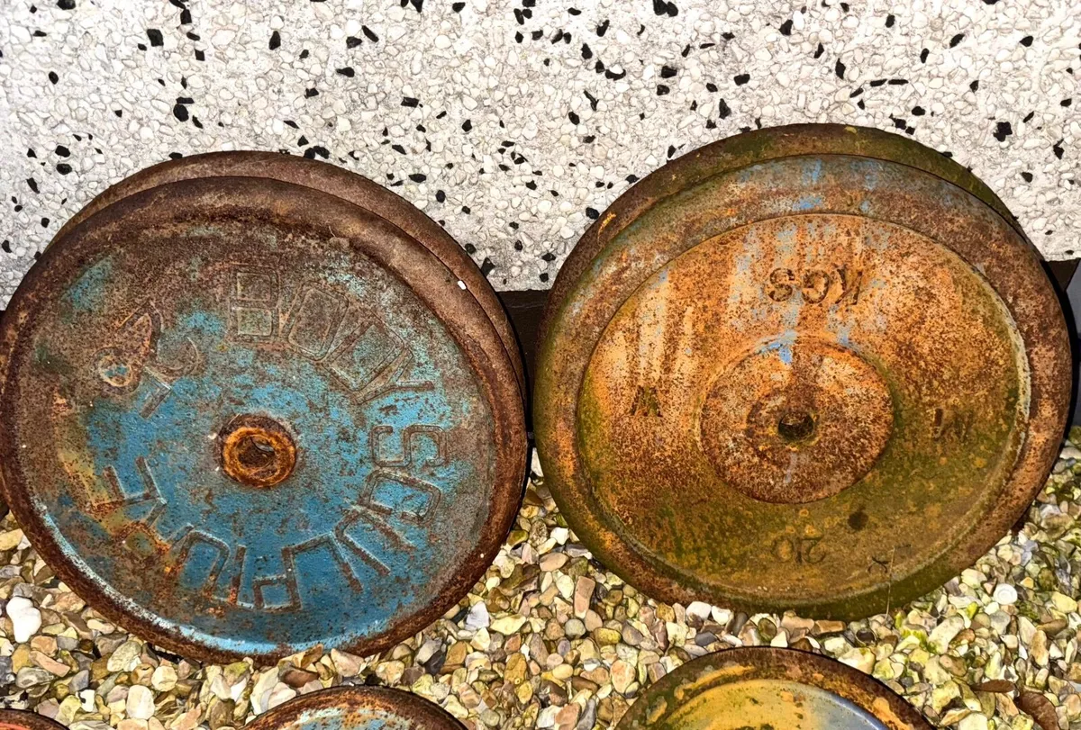 187kg Standard Weight Plates - Image 2