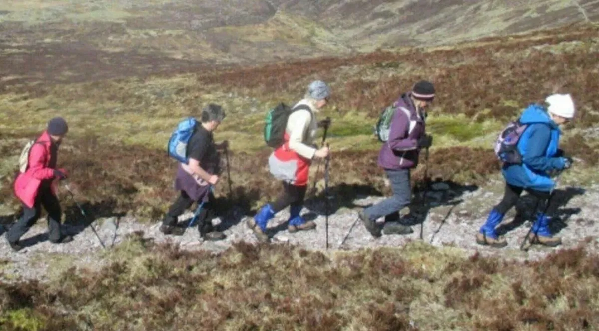 Redwood,Trekking, Walking Pole, x 1 - Image 4