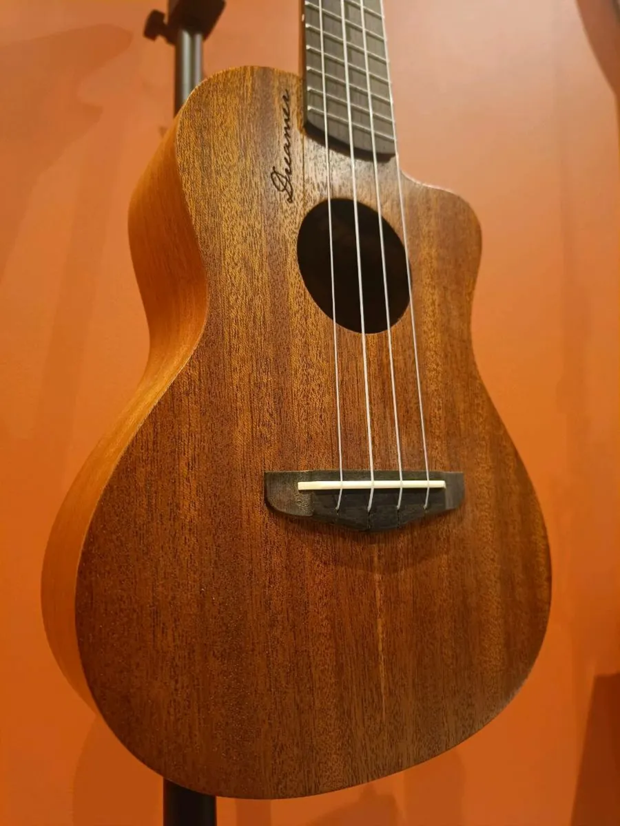 Ukulele Concert - Mahogany - Accessories Included! - Image 4