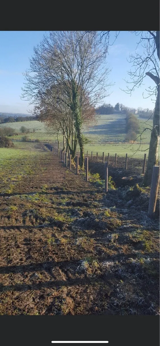 Fencing / Tree cutting / Hedgecutting - Image 3